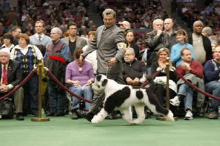 So Sorry you will miss this Video