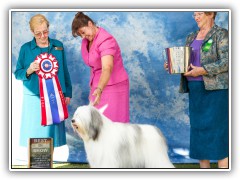 Best in Show August 2014